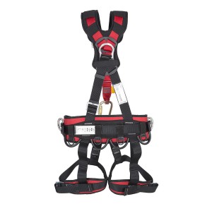 Szelki bezpieczeństwa PROTEKT P71