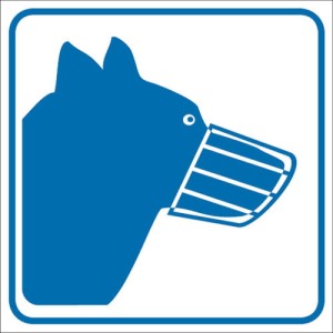 Psy wyprowadzać w kagańcu