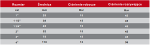 obraz_2021-02-16_101244.png