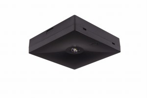 Oczko awaryjne N/T Starlet External QUAD LED SO 250 SA 3H AT IP20 [BLK]  Czarna