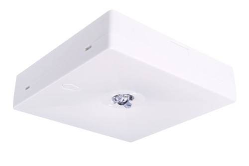 starlet quad biały nt.jpg