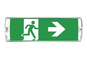 orion II z pikt..jpg