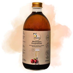 Syrop HomeSoda Mussująca Przyjemność 500ml z pompką.