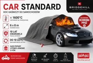 CARSTANDARD1.png