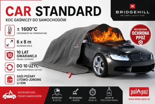 CARSTANDARD1.png