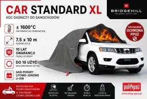 CARSTANDARDXL.png