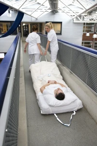 Escape-Sheet-Economy-line-2.jpg