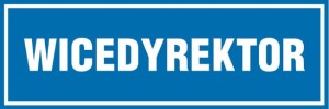Wicedyrektor