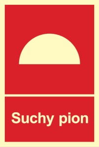 Suchy pion